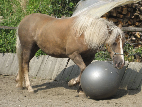 Ball Spielen